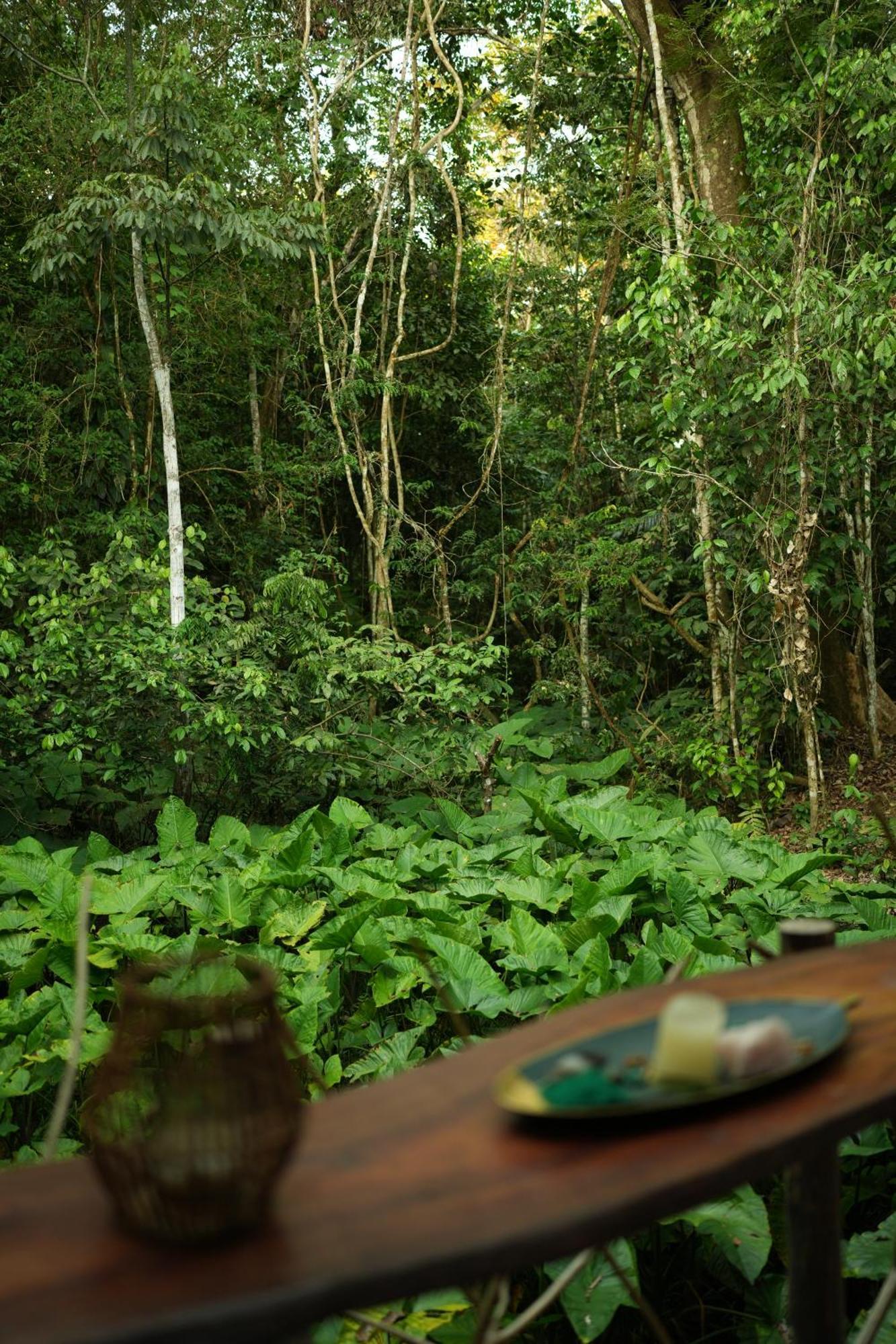 Awaken Amazonian Healing Resort All Inclusive Икитос Екстериор снимка